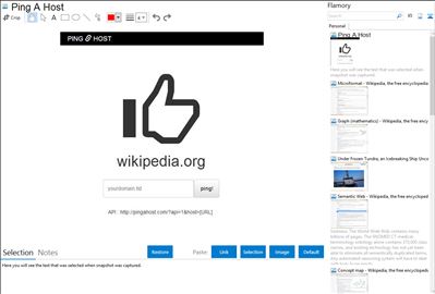 Ping A Host - Flamory bookmarks and screenshots