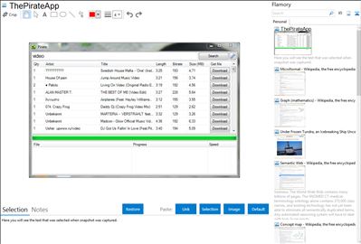 ThePirateApp - Flamory bookmarks and screenshots