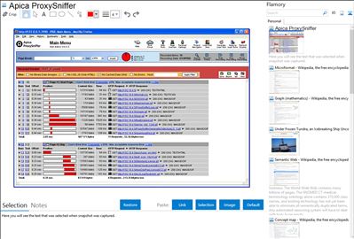 Apica ProxySniffer - Flamory bookmarks and screenshots
