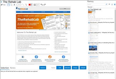 The Rehab Lab - Flamory bookmarks and screenshots