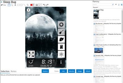 Sleep Bug - Flamory bookmarks and screenshots