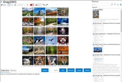 Snap2IMG - Flamory bookmarks and screenshots