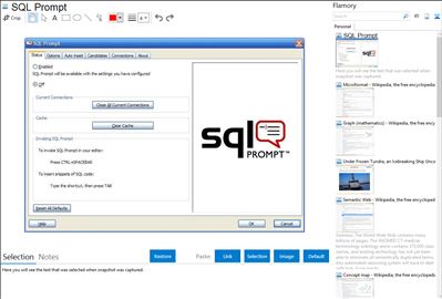 SQL Prompt - Flamory bookmarks and screenshots