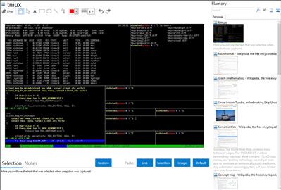 tmux - Flamory bookmarks and screenshots