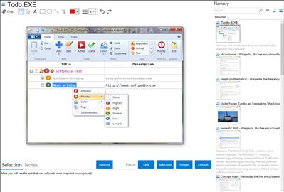 Todo.EXE - Flamory bookmarks and screenshots