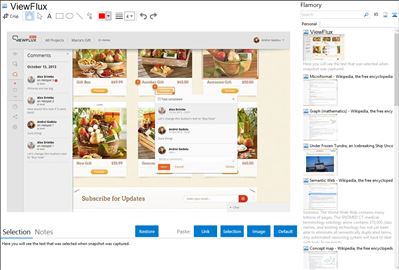 ViewFlux - Flamory bookmarks and screenshots