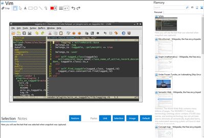 Vim - Flamory bookmarks and screenshots