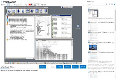 VoipSwitch - Flamory bookmarks and screenshots