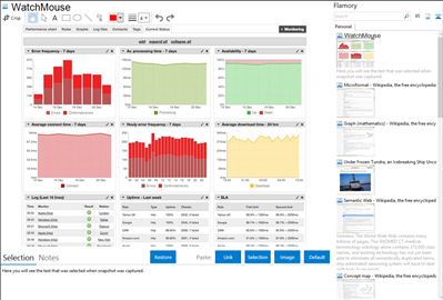 WatchMouse - Flamory bookmarks and screenshots