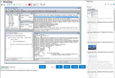 WinDbg - Flamory bookmarks and screenshots